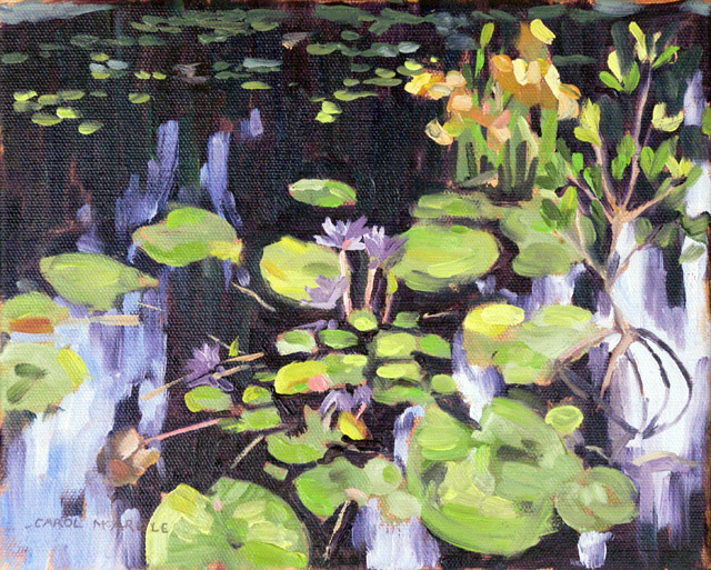 Carl's Lilly Pond